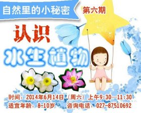 关于植物的科普知识、植物有哪些小秘密