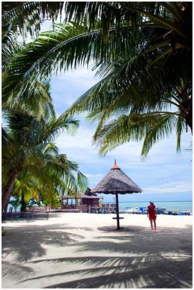 天涯知识库首页；天涯博客