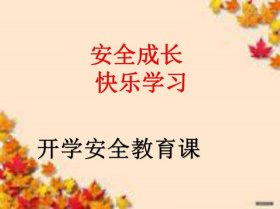 小学生安全教育记录100篇、小学生安全教育ppt课件