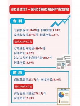 十大知识产权公司排名前十，北京十大知识产权公司