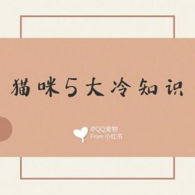 冷知识网络营销师；什么叫冷知识