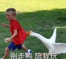 最沙雕问题、世界上最沙雕的人是谁