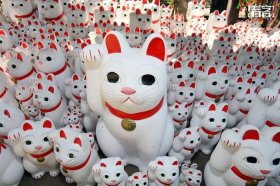 招财猫百科冷知识、招财猫是怎么来的