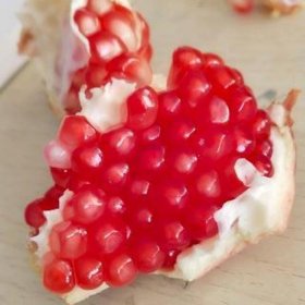 生活小百科内容简介；生活小百科500字