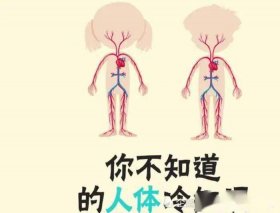 生活中的冷知识大全集 - 冷知识合集