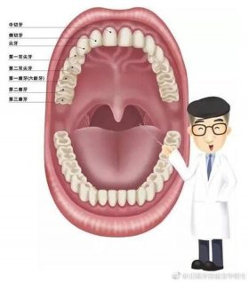 100个冷门小知识大全 - 冷门小知识