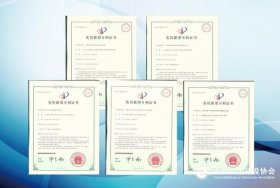 国家知识产权专利网专利查询 - 中国专利查询入口