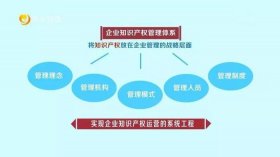 知识产权管理是干什么的 - 产权管理主要做什么