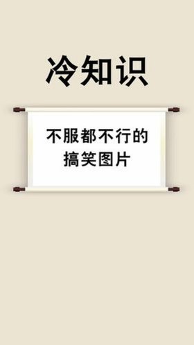 搞笑的冷知识合集？；有趣的冷知识大全