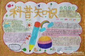 小学生的科学小知识 一年级科学小知识
