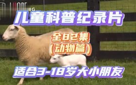 小学生科普视频 - 儿童科普纪录片