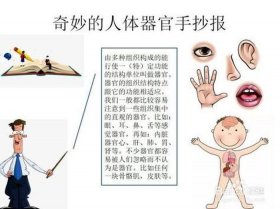 人体冷知识手抄报；身体部位手抄报