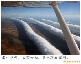 生活中常见的自然现象有哪些，什么叫做自然现象