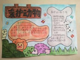 动物科普知识资料讲解 - 生物科普知识资料大全