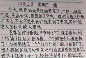 小学生中国基本知识100字；小学生如何写好字