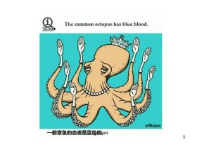 动物冷知识科普，10个神奇搞笑的冷知识