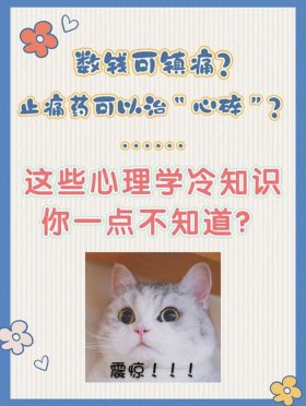 心理学冷知识大全 有哪些冷知识让人震惊