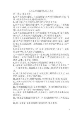 小学科学知识点大全经验导入，小学科学课精彩导入