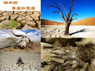 适合三年级的生活中的科普知识、地理科普知识