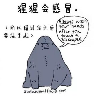 10个神奇搞笑的冷知识有哪些 - 热门冷知识