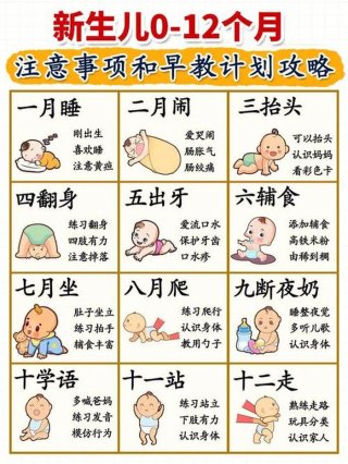 育儿知识0到1岁早教、宝宝0到一岁育儿知识