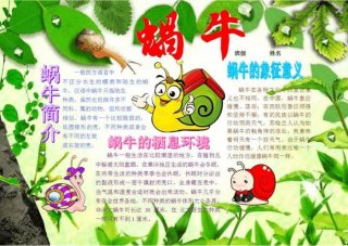 自然科学小知识、十个生活中的科学现象