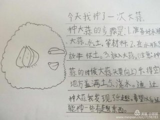 科学小知识日记、科学观察日记图文结合