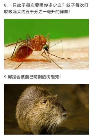 蚊子的冷知识和人体的冷知识，关于人体的生物冷知识