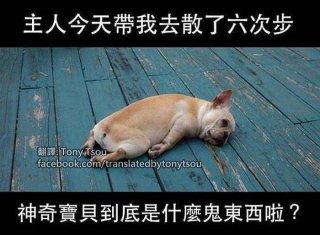 经典冷笑话段子 - 10个笑到抽筋的笑话