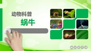 科普有趣的视频；科普小知识视频