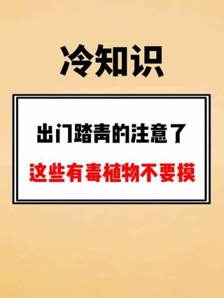 10大生活冷知识 - 实用冷知识
