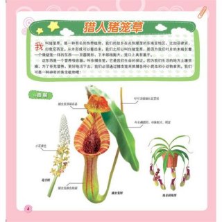 自然科学科普知识大全 - 大自然科普知识大全