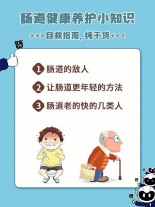 肠道健康科普知识大全 - 肠道知识科普