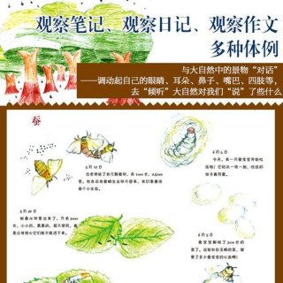 科普活动包括哪些内容小学生、一二三年级自然科普