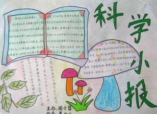 科学小知识都有什么，科学知识有哪些