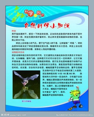 科普知识材料 - 每天一个科普小知识