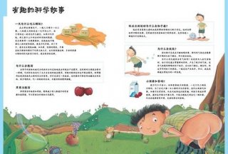 科学小知识视频 - 十个简短科学小故事