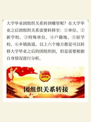 请谈谈对组织的知识的理解，什么是组织？谈谈你对组织的理解