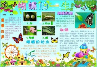 自然科学小常识大全 自然科学基础知识