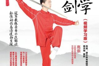 学武术的视频教程（中国武术视频）
