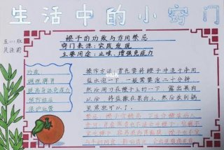 生活学习小妙招，生活小窍门100妙招学生必备