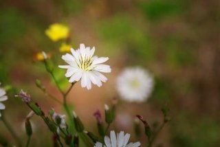 午后学习时间表 午后时间是几点钟