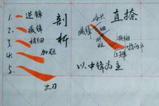 笔画的教程视频（笔画视频教学）