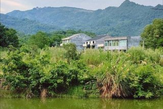 浙里学习 - 浙里学车app