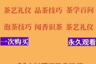 学习茶道茶艺app - 茶道茶艺师自学教程