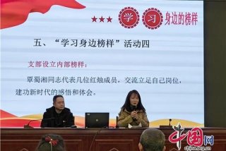 学习身边榜样主题党日、2020年学身边榜样主题党日活动