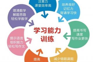 孩子主动学习能力越来越好