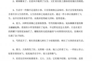 小学生优美句子积累 - 小学生优美句子积累很短