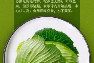 张家港学习茶道（张家港喝茶最有意境的）