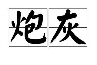 炮灰女配靠学习变美 炮灰女配靠花钱逆天改命